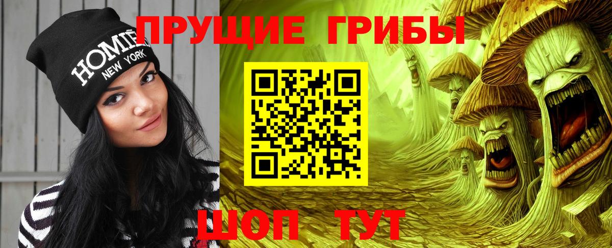 Галлюциногенные грибы GOLDEN TEACHER Нурлат